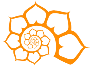 Spiral Spiral