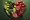 real-food-pyramid-assortment-still-life
